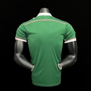 football-shirt-palmeiras-centennial-edition-2014-retro-1 Football Shirt Palmeiras Centennial Edition 2014 Retro front