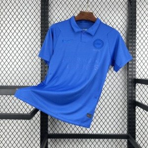 football-shirt-brighton-hove-albion-125th-anniversary-25-26-1 Football Shirt Brighton & Hove Albion 125th Anniversary 25-26 front
