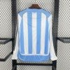 football-shirt-argentina-home-06-07-long-sleeves-retro-2 Football Shirt Argentina Home 06-07 Long Sleeves Retro back