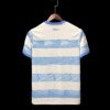 Football Shirt Manchester City Commemorative 22-23 back