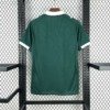 Football Shirt Plymouth Argyle FC Home 25-26 back