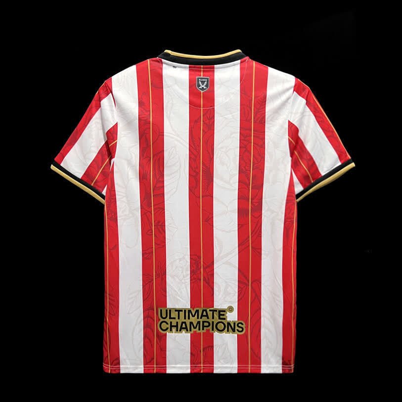 football-shirt-sheffield-united-limited-edition-23-24-2 Football Shirt Sheffield United Limited Edition 23-24 back