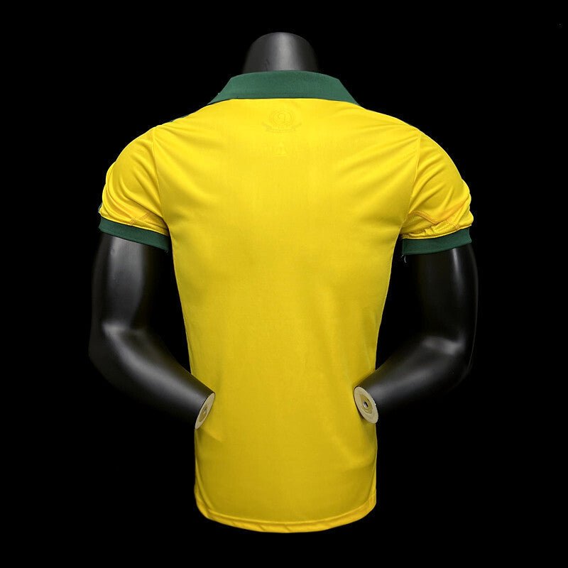 football-shirt-palmeiras-centennial-25-26-third-2 Football Shirt Palmeiras Centennial 25-26 Third back