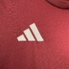 football-shirt-aston-villa-home-25-26-5 Football Shirt Aston Villa Home 25-26 extra 3
