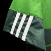 football-shirt-palmeiras-home-10-11-6 Football Shirt Palmeiras Home 10-11 extra 4
