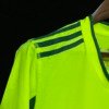 football-shirt-palmeiras-goalkeeper-25-26-retro-6 Football Shirt Palmeiras Goalkeeper 25-26 Retro extra 4