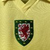 football-shirt-wales-away-76-79-retro-7 Football Shirt Wales Away 76-79 Retro extra 5