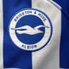 football-shirt-brighton-hove-albion-home-23-24-7 Football Shirt Brighton & Hove Albion Home 23-24 extra 5